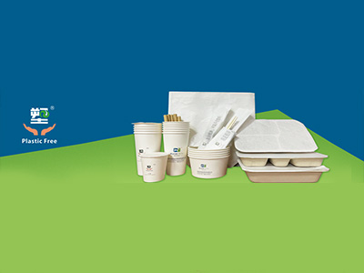 Breakthrough Strategies for Environmental Transformation in Packaging: Rzbp Packaging Innovation Solutions