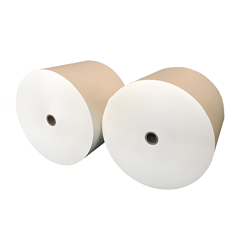 Pla Coated Paper