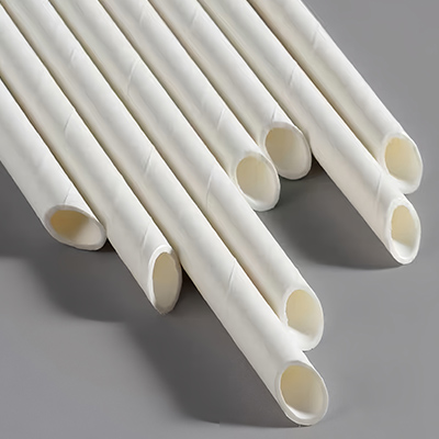 Plastic-Free Straws 
