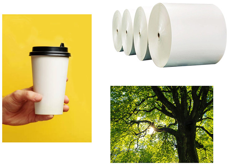 Coated Paper Cup Packaging Coated Paper Cup Packaging